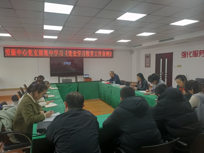 市殘疾人勞服中心黨支部集中學(xué)習(xí) 《黨史學(xué)習(xí)教育工作條例》