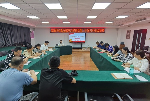 市殘疾人勞服中心黨支部深入學(xué)習(xí)貫徹黨的二十屆三中全會(huì)精神